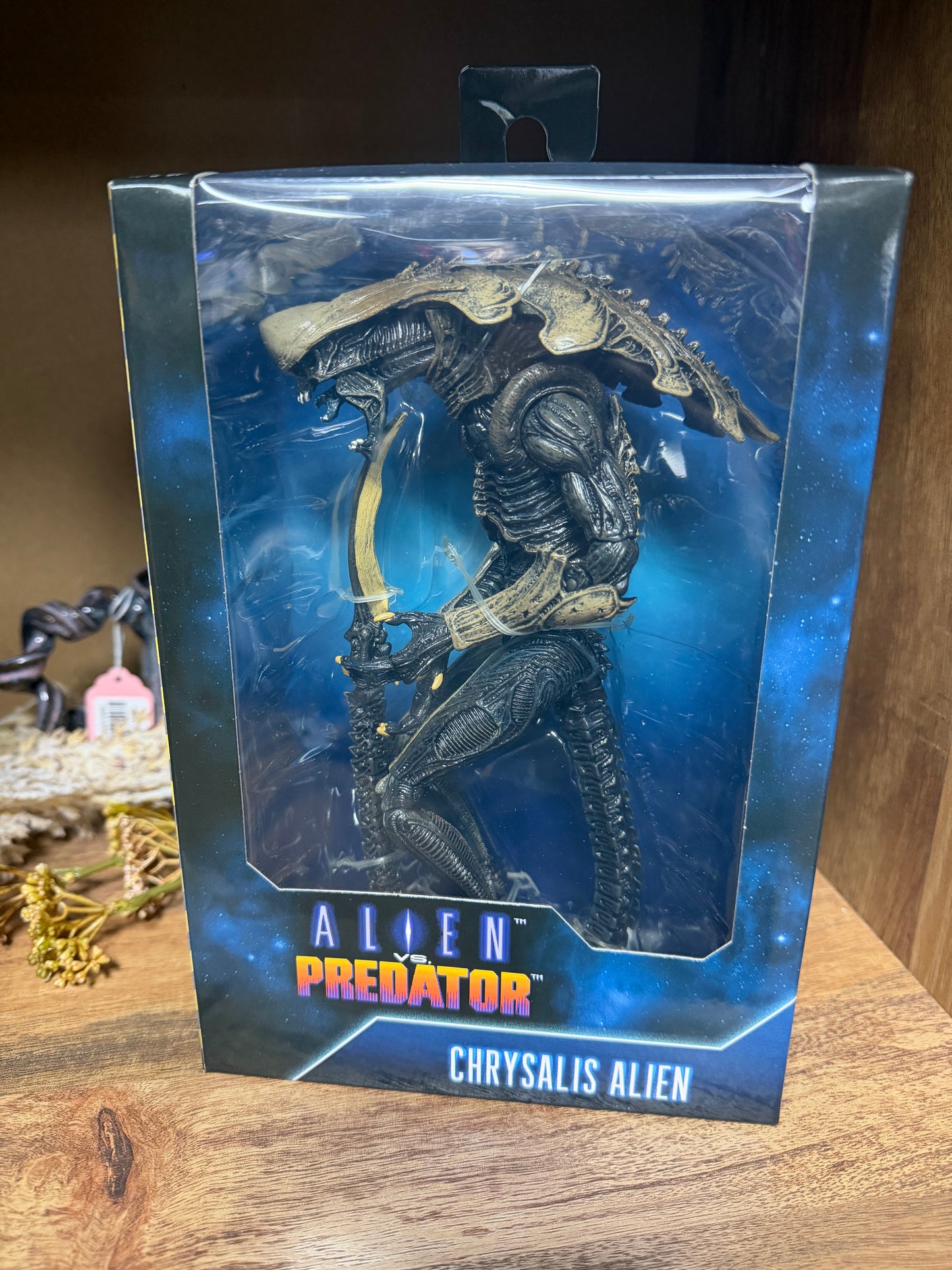 NECA Alien vs. Predator Chrysalis Alien action figure