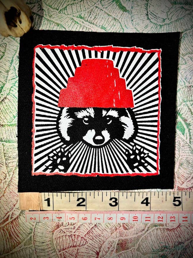 Are We not Trashy? Raccoon with a Devo hat patch.