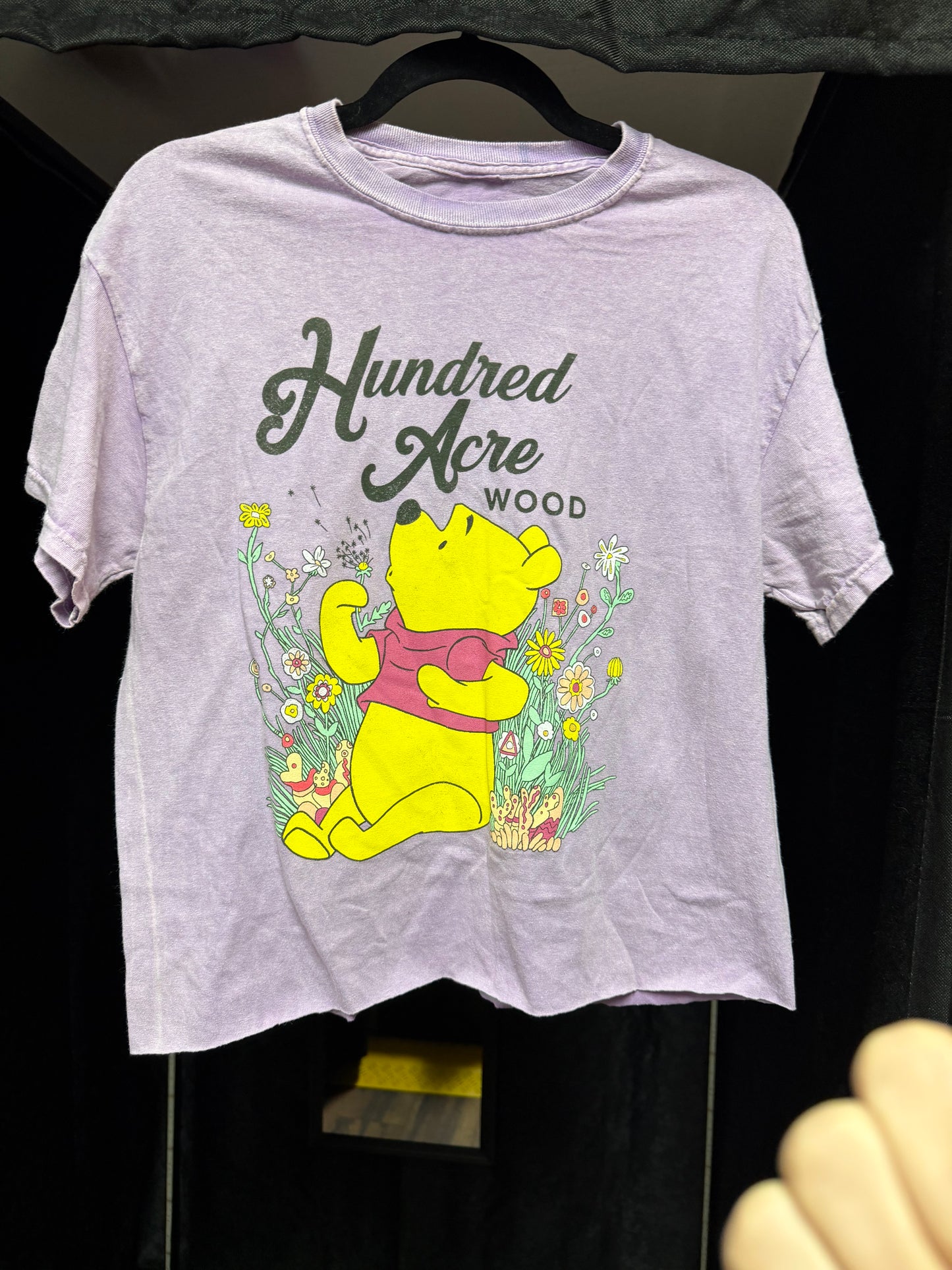 Winnie the Pooh Cut Longer Crop- M