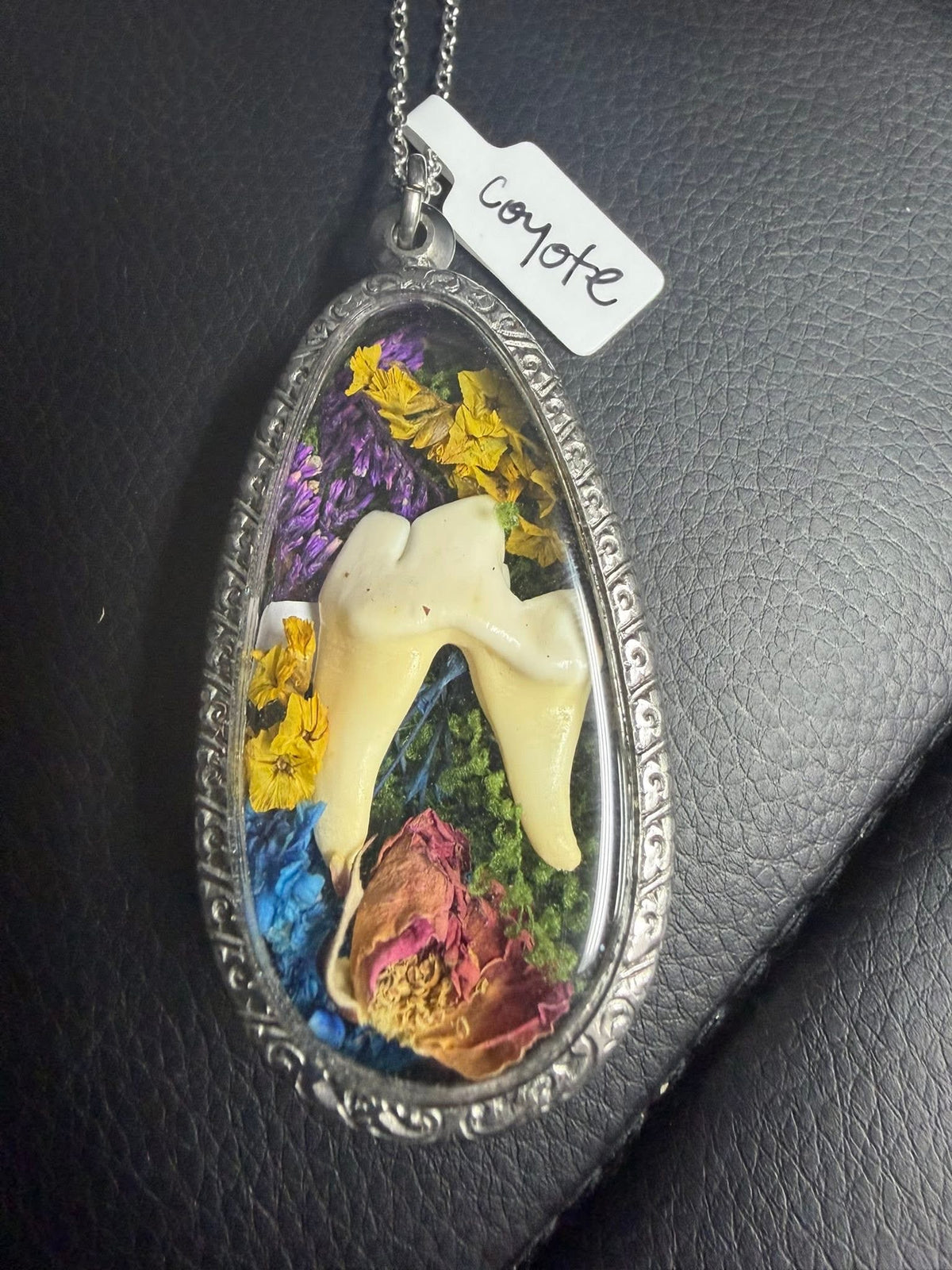 Oddity Reliquary Window-Bone Locket Necklaces