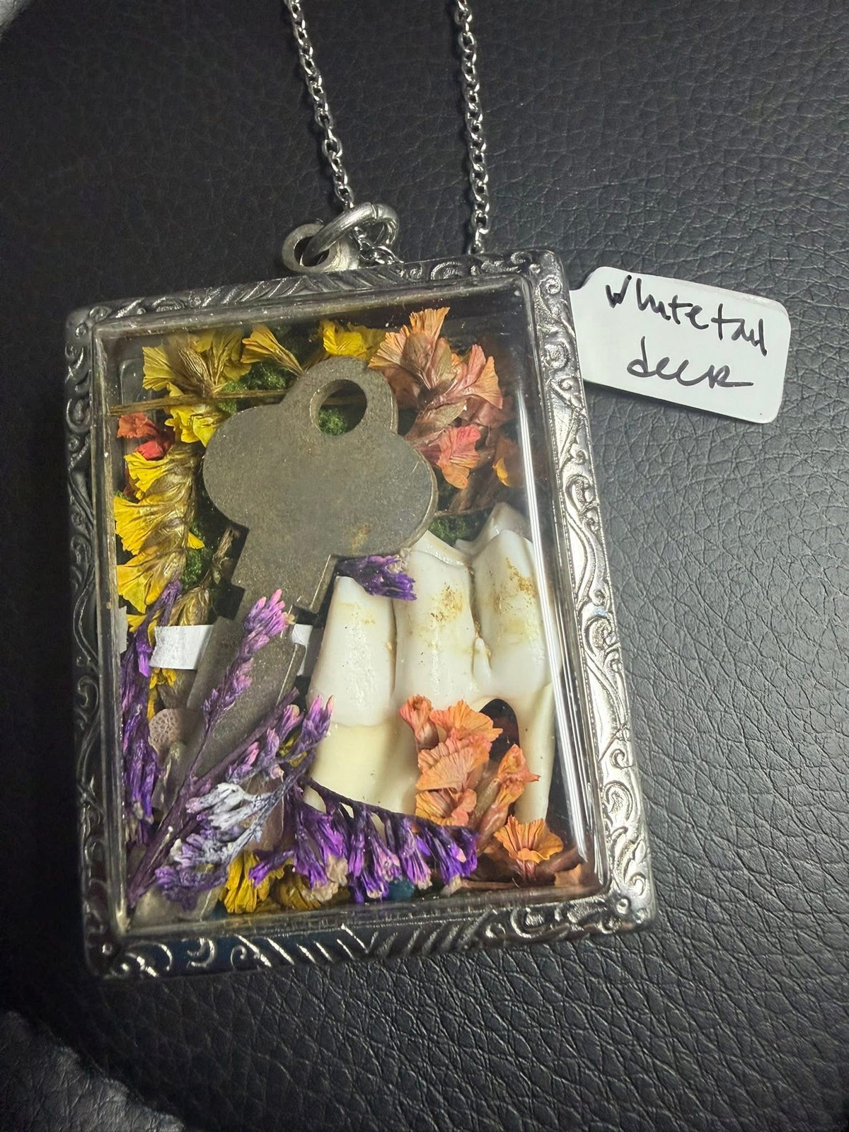 Oddity Reliquary Window-Bone Locket Necklaces