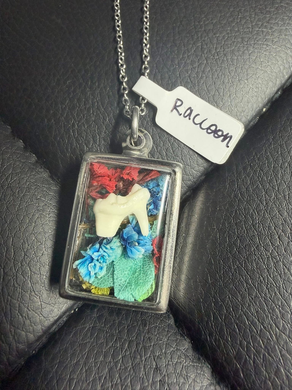 Oddity Reliquary Window-Bone Locket Necklaces