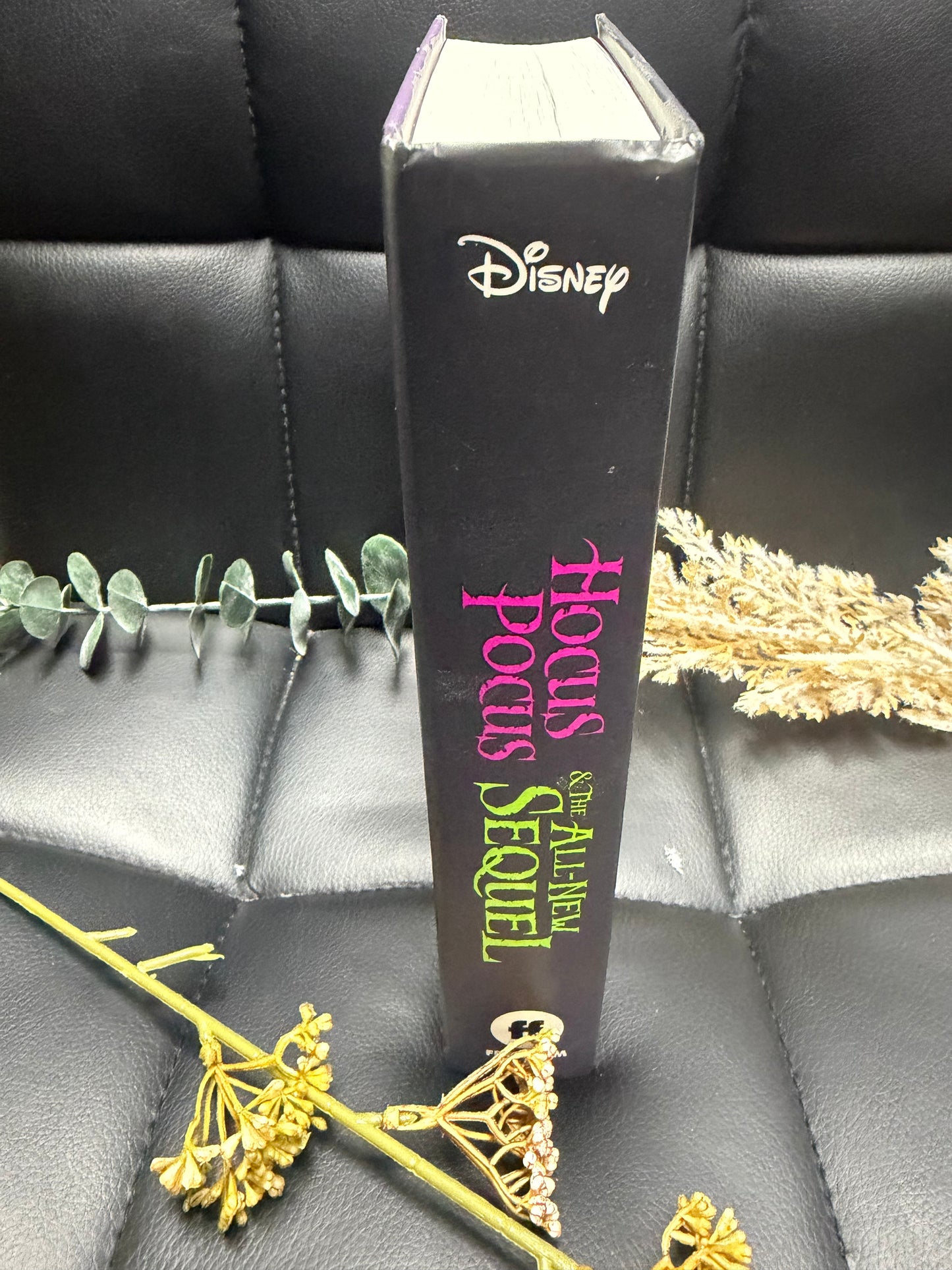 Hocus Pocus & The All-New Sequel Book