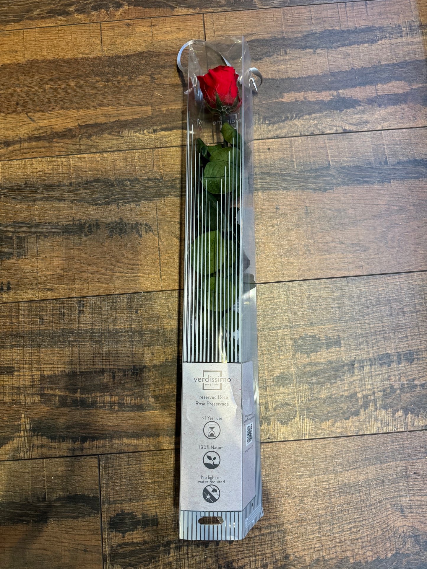 Preserved Red Rose