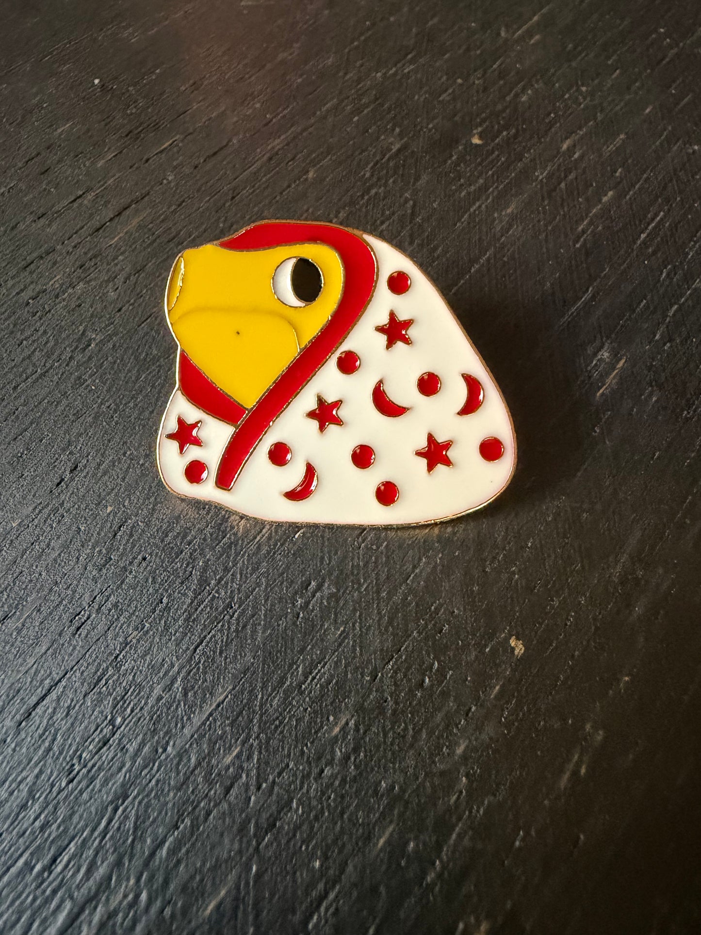 Hiding Frog- Metal Pin