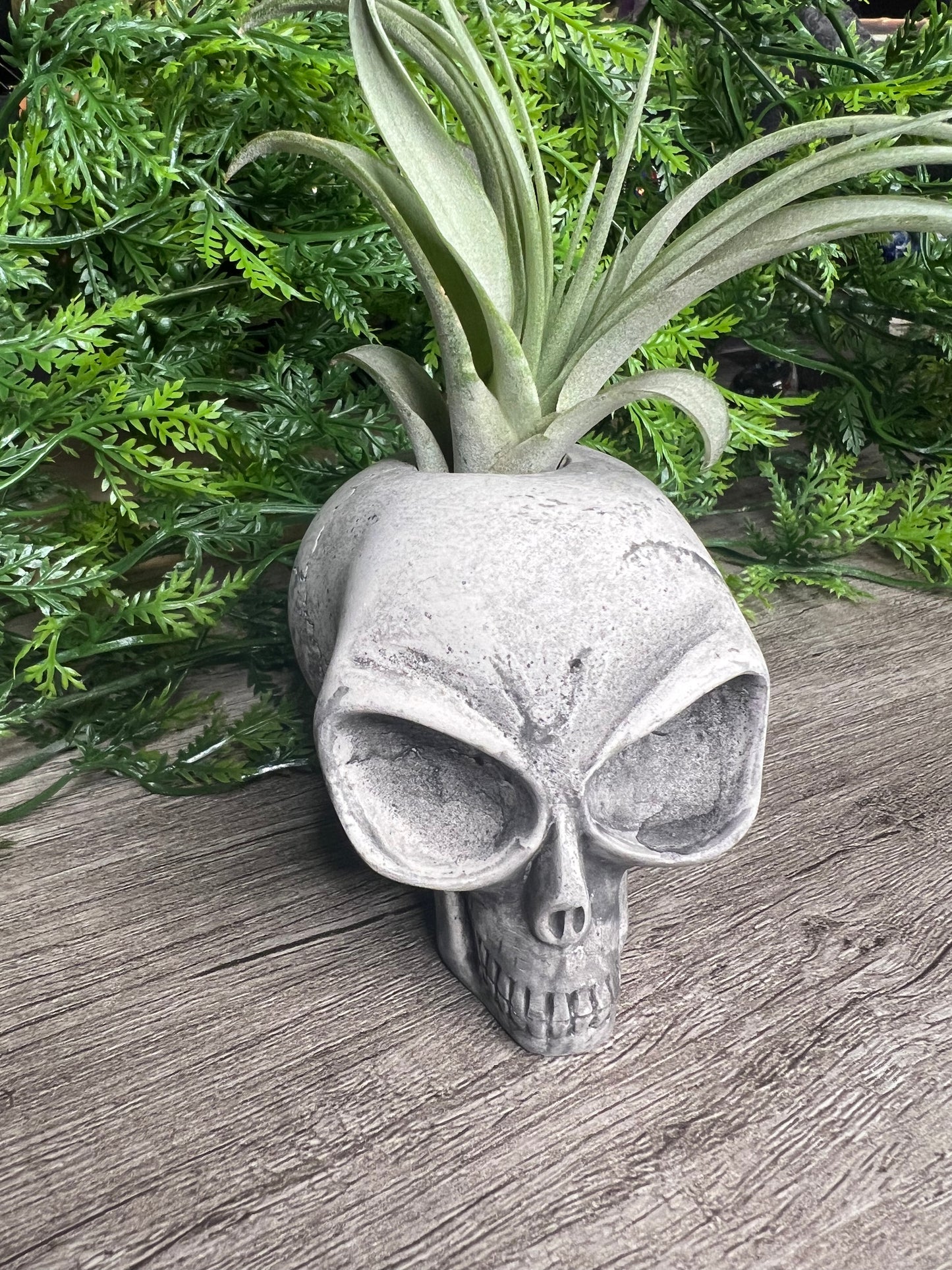 Handmade Air Plant Holders