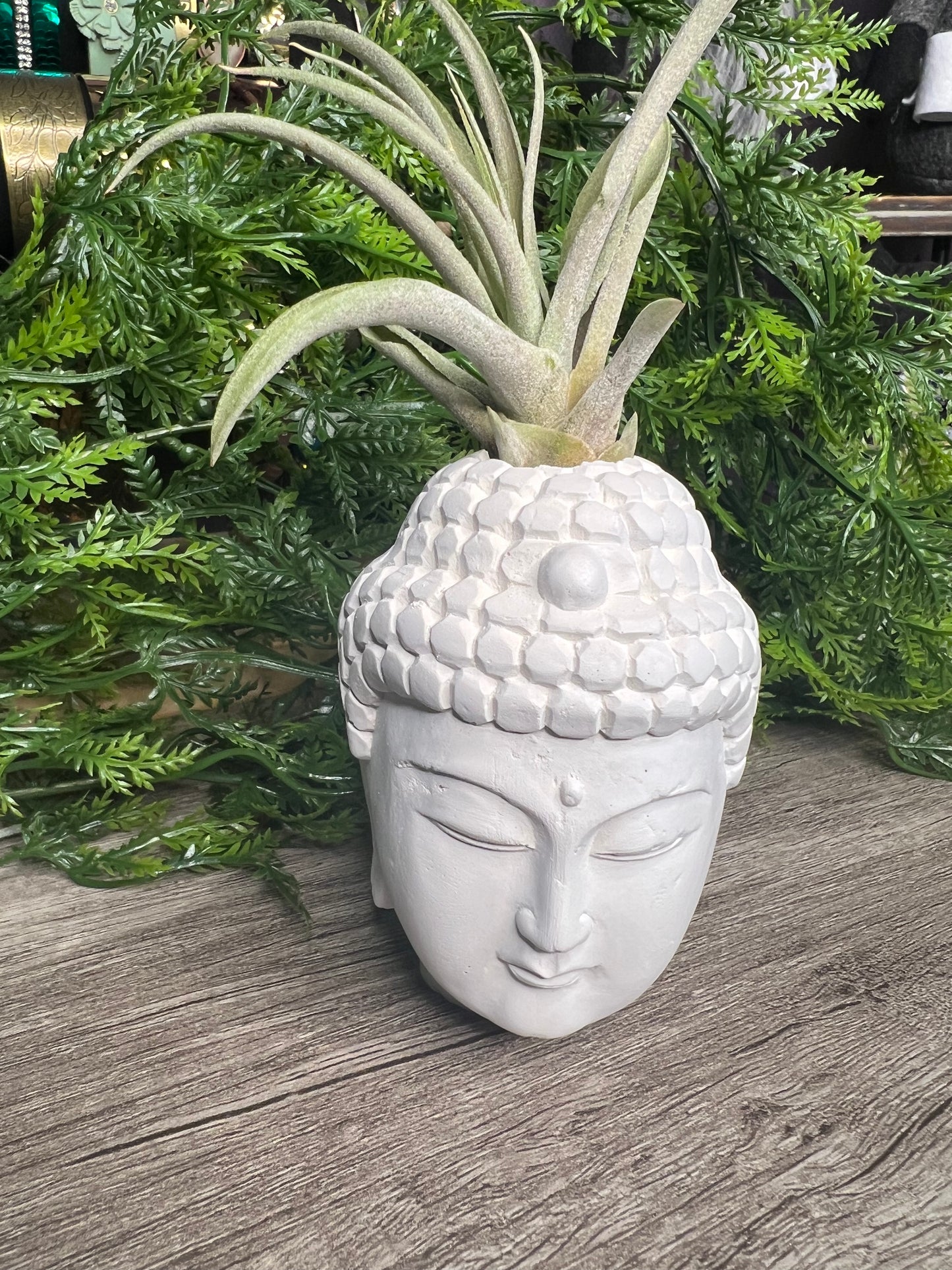Handmade Air Plant Holders