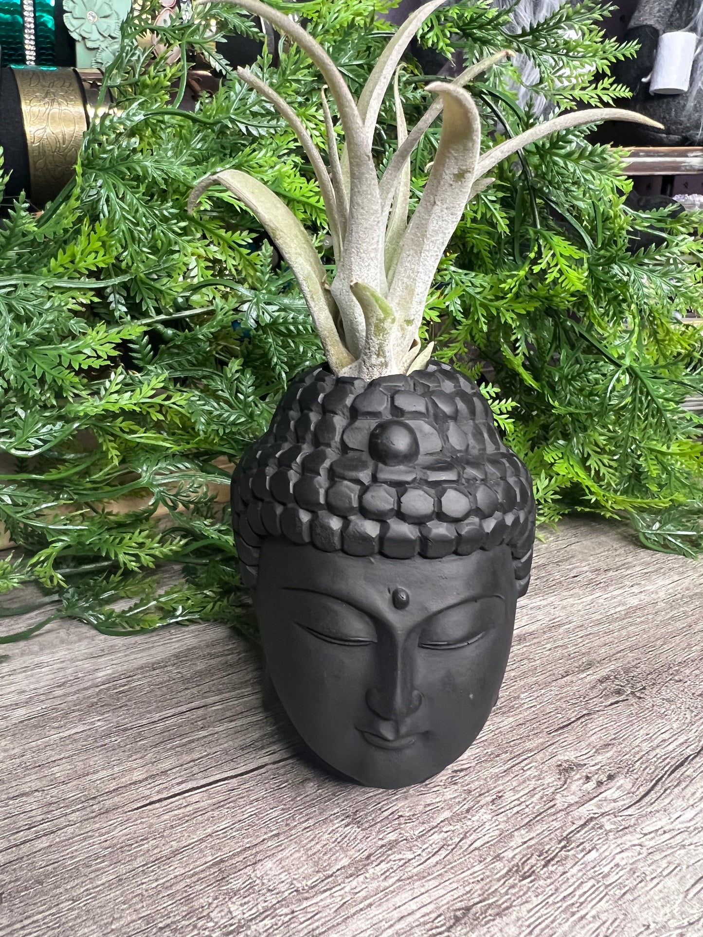 Handmade Air Plant Holders