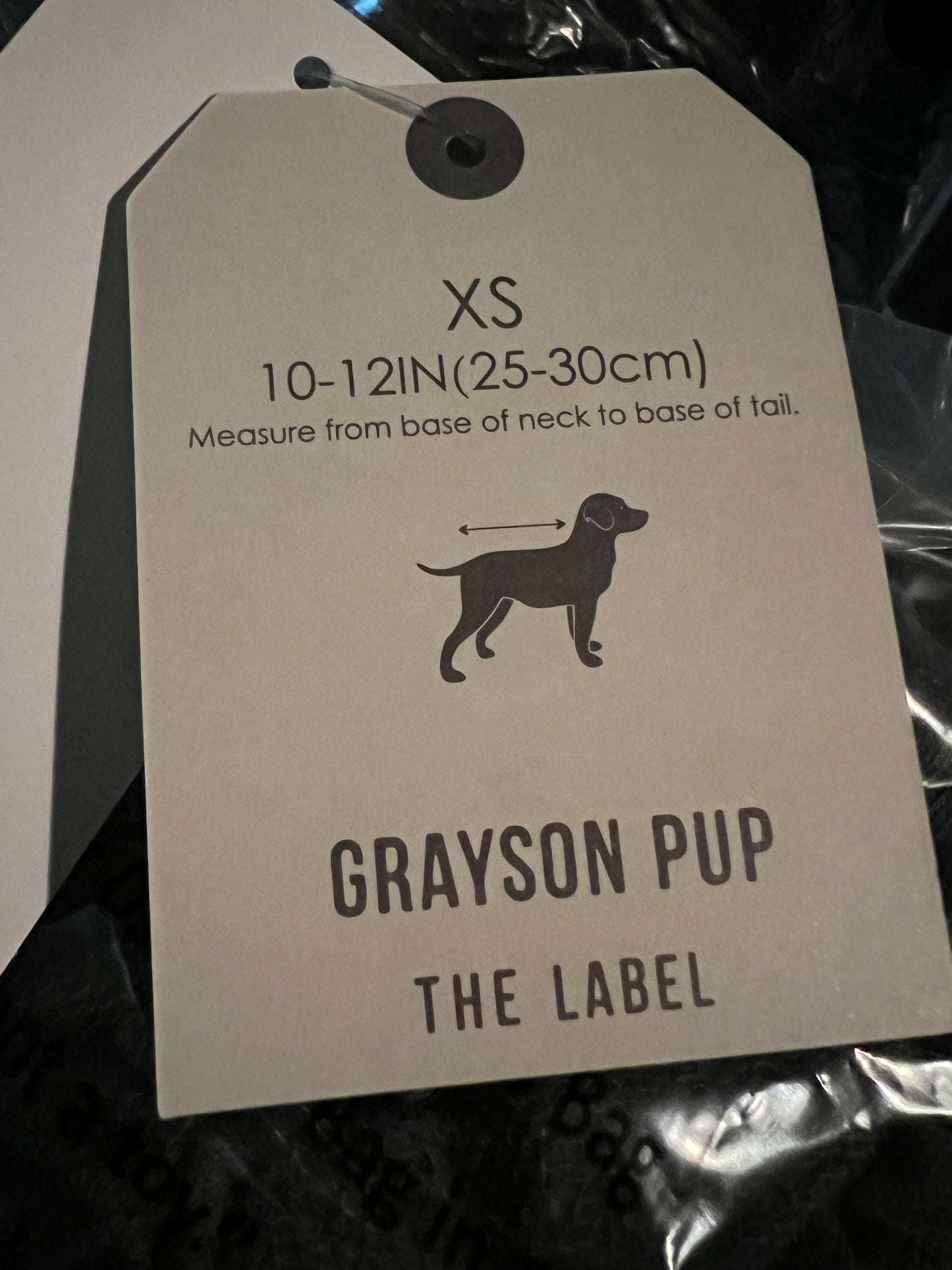 Grayson Pup- Favorite Child Raglon Dog Pullover- XS