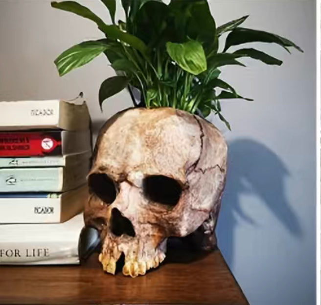 Single Skull Planter