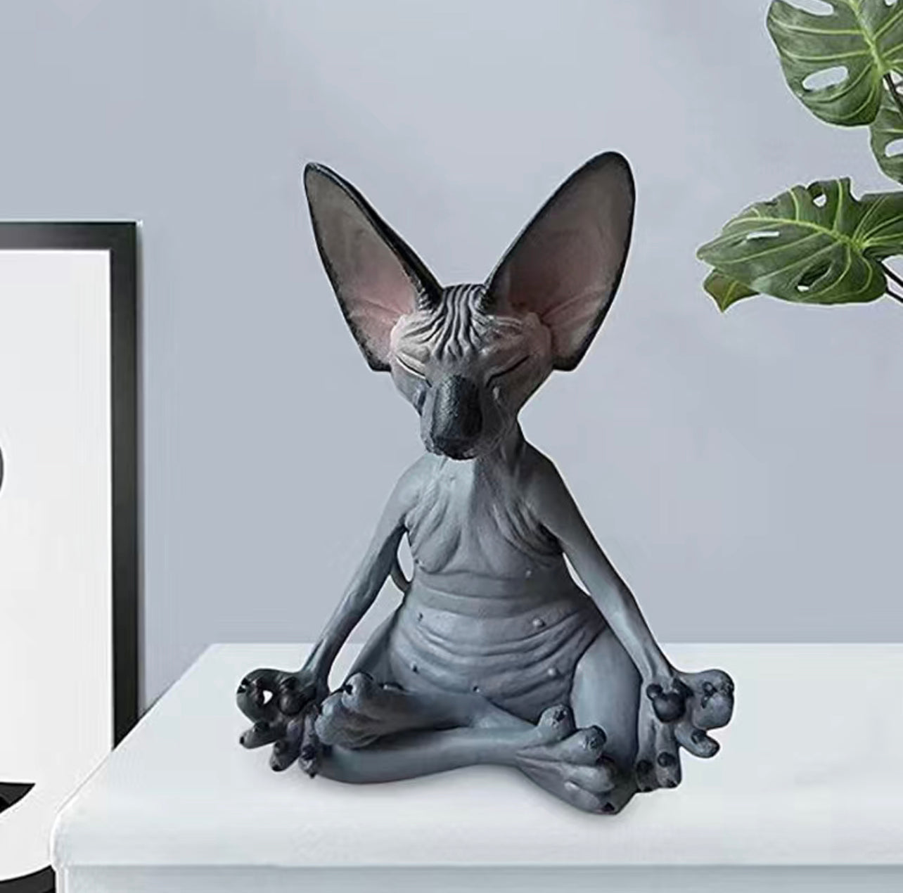 Sphynx Meditation Cat