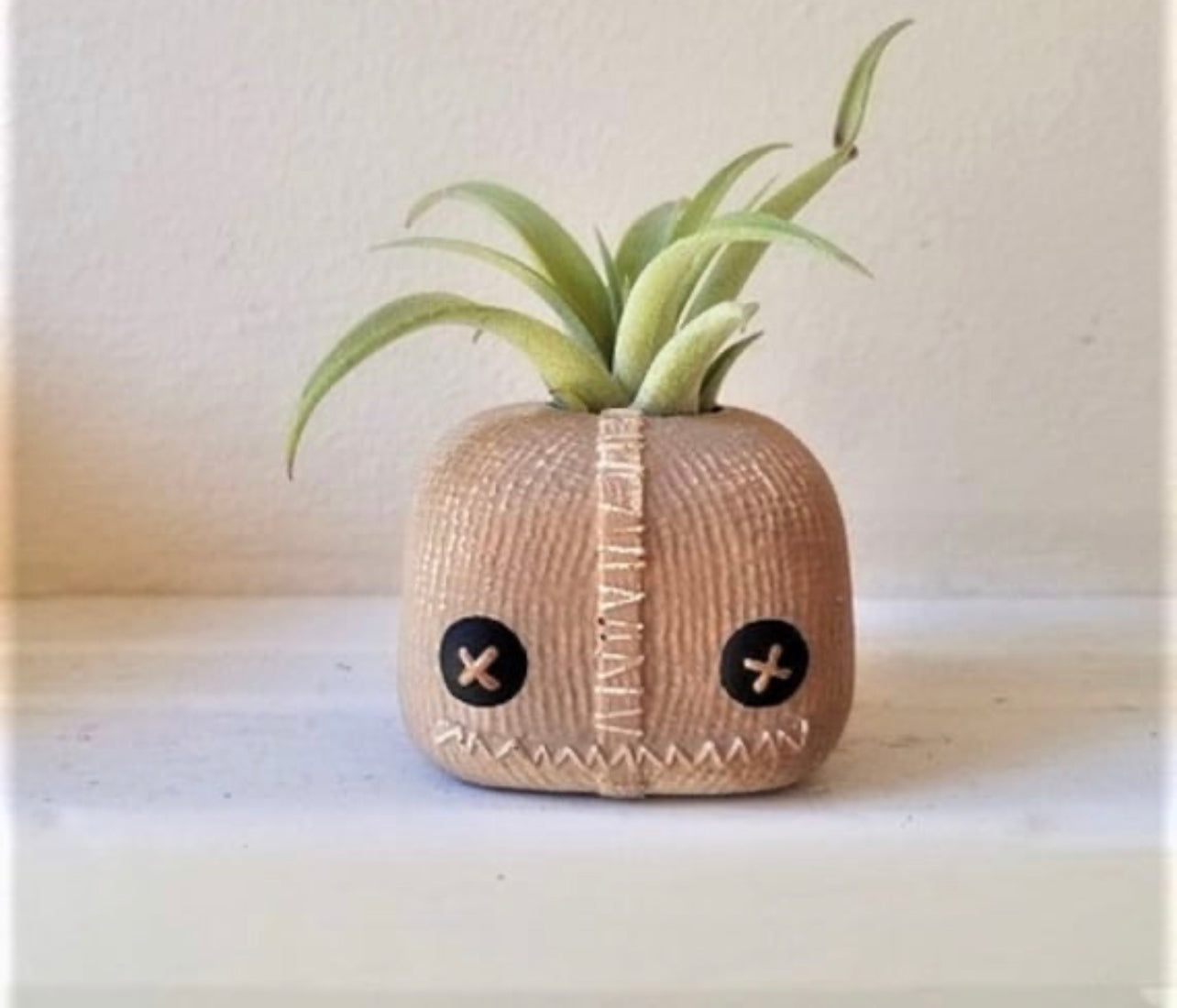 Handmade Air Plant Holders