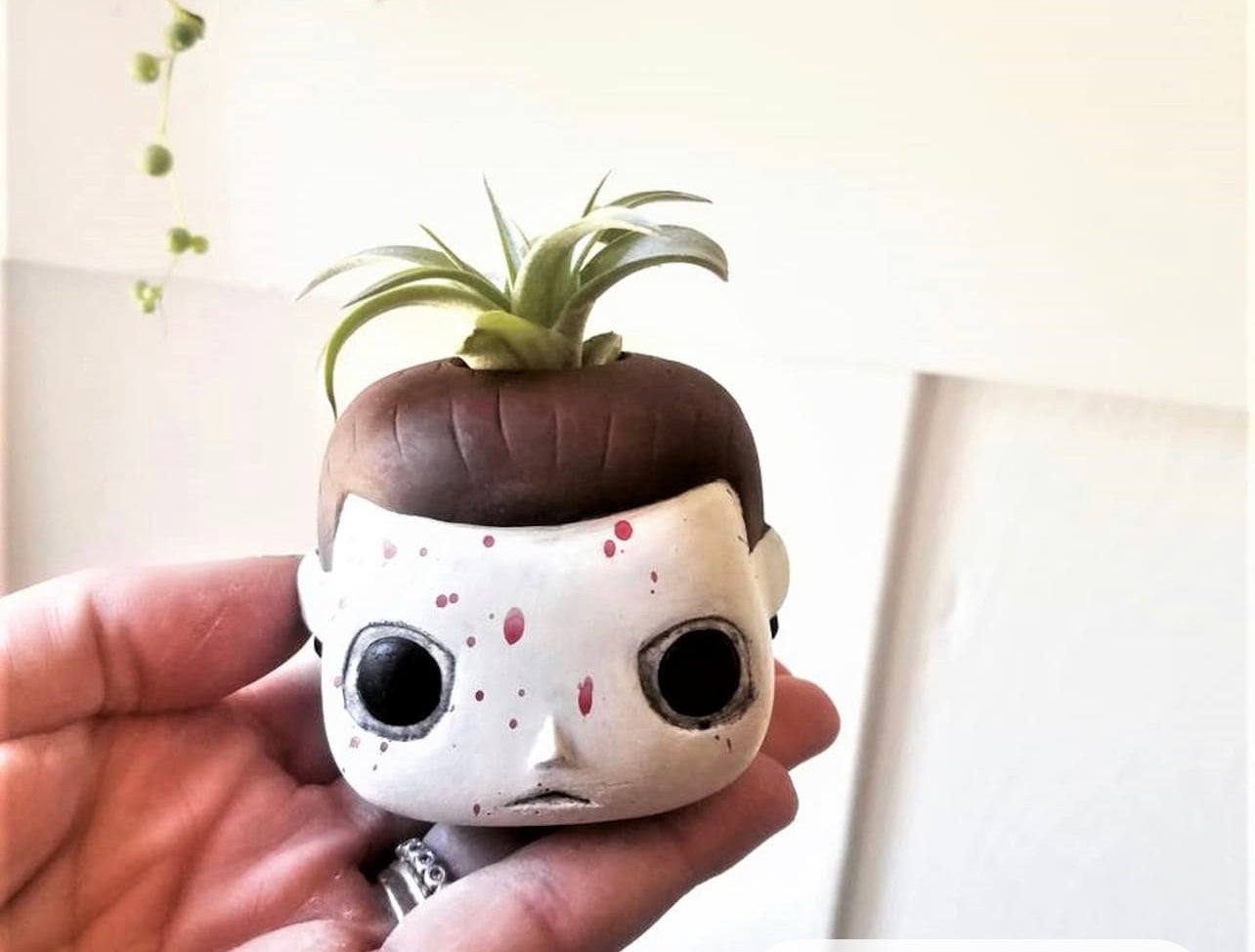 Handmade Air Plant Holders