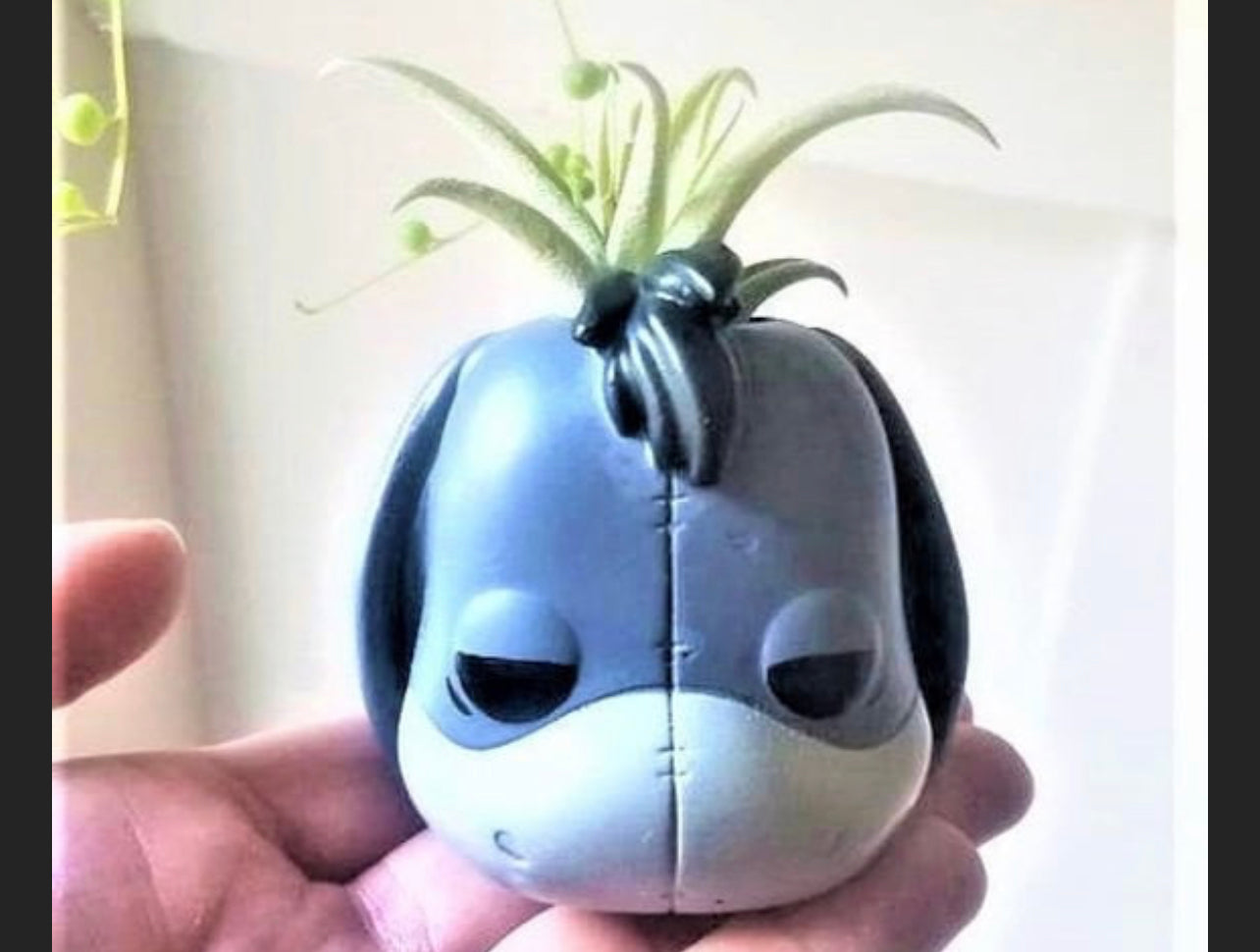 Handmade Air Plant Holders