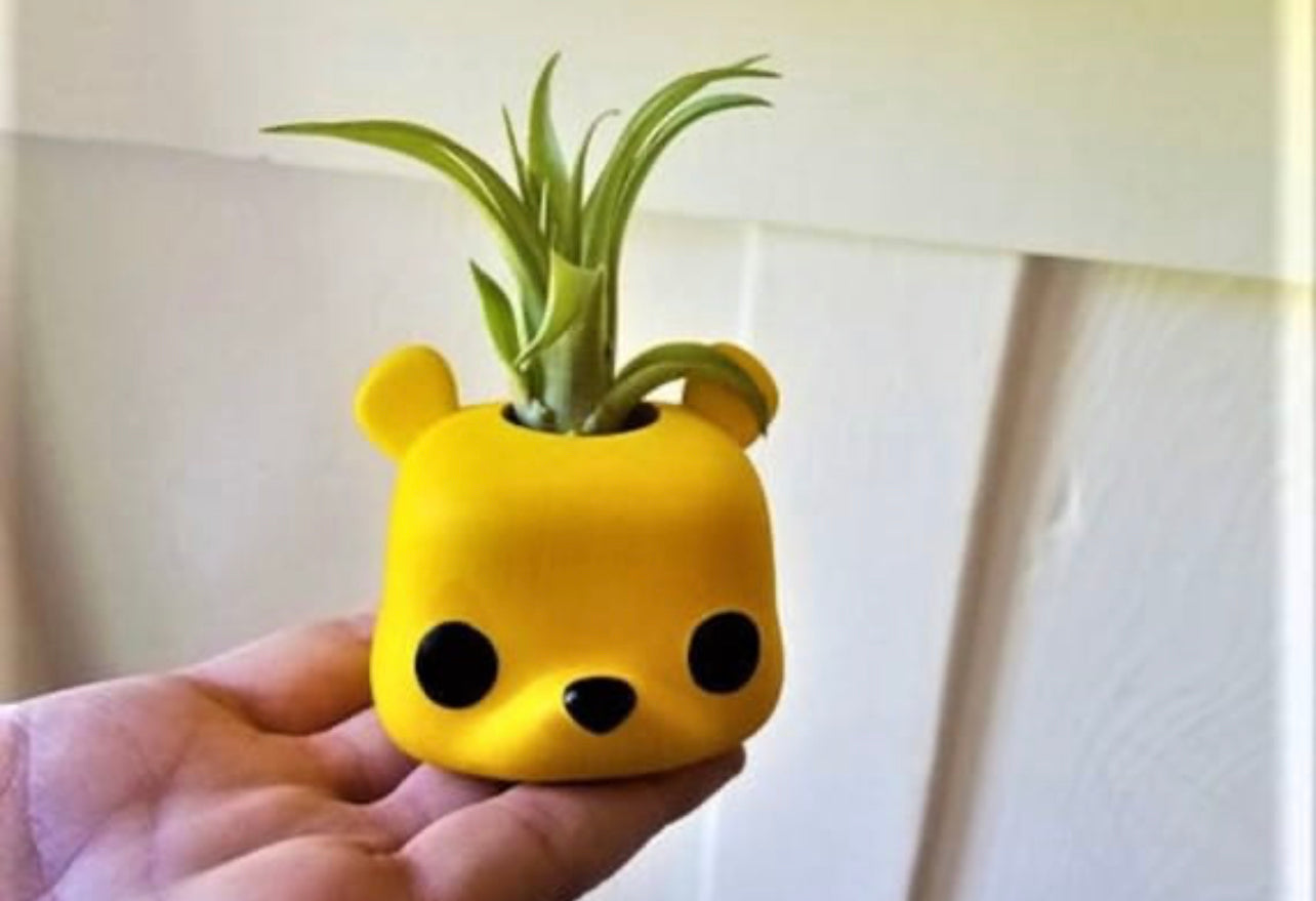 Handmade Air Plant Holders