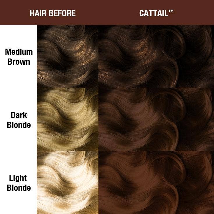 Cattail™ - Supernatural Shades - Classic High Voltage®