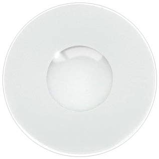 Zombie White Contact Lenses