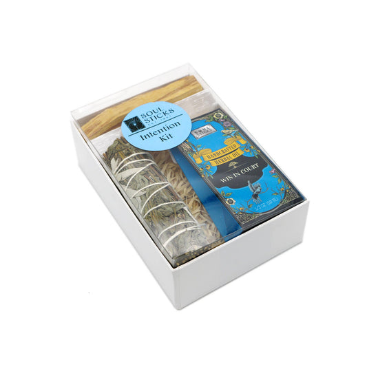 Win In Court Intention Kit