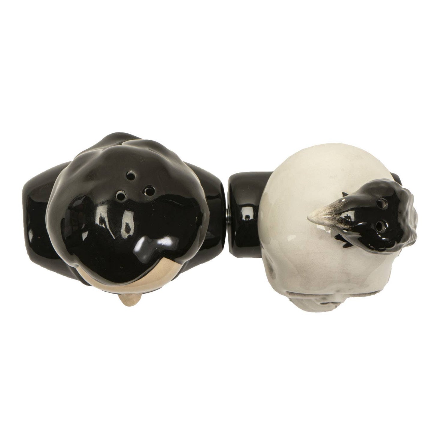 Edgar Allen Poe Salt & Pepper Halloween Shaker Set