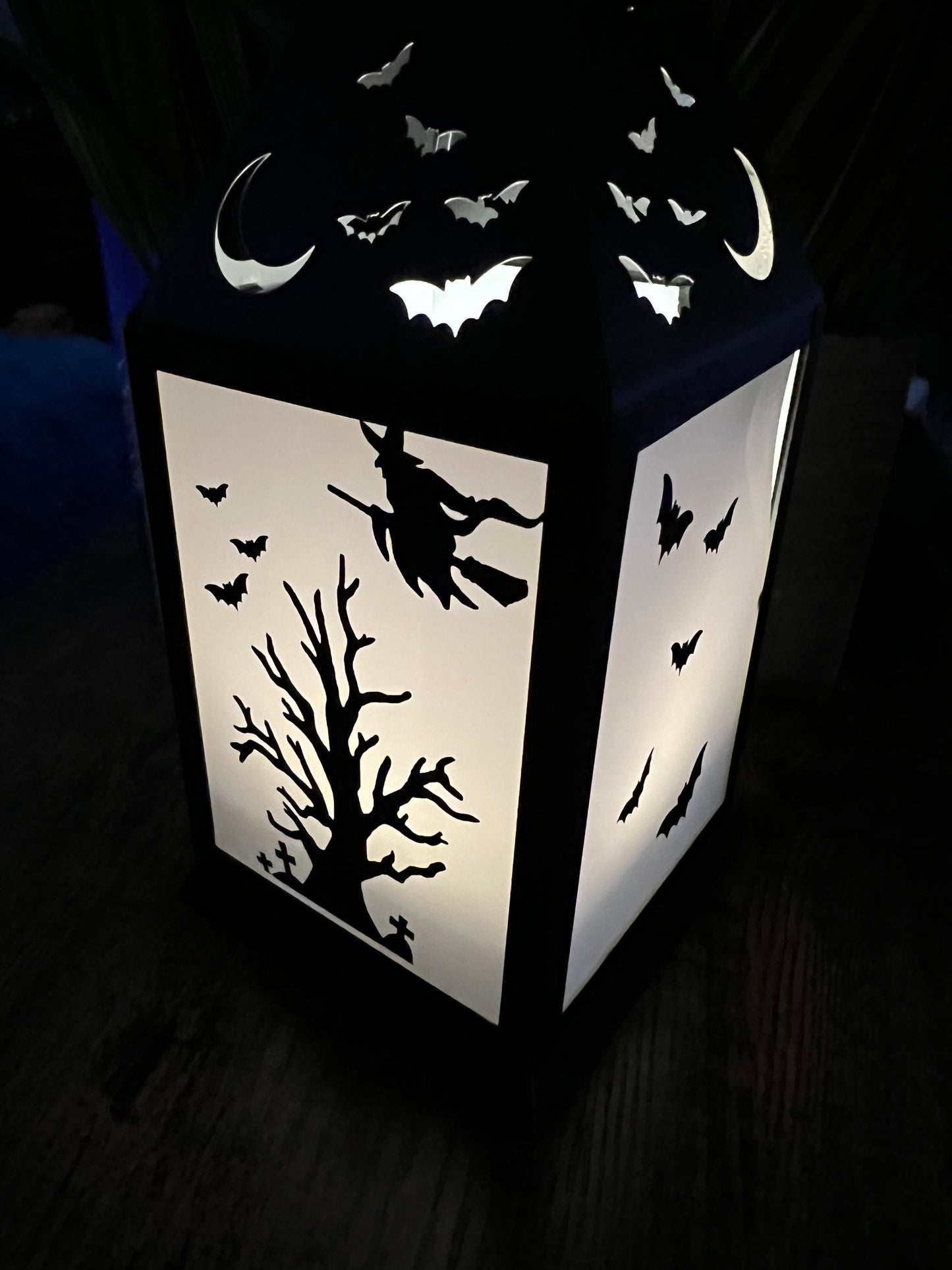2 Halloween Lanterns- Spider/Bat