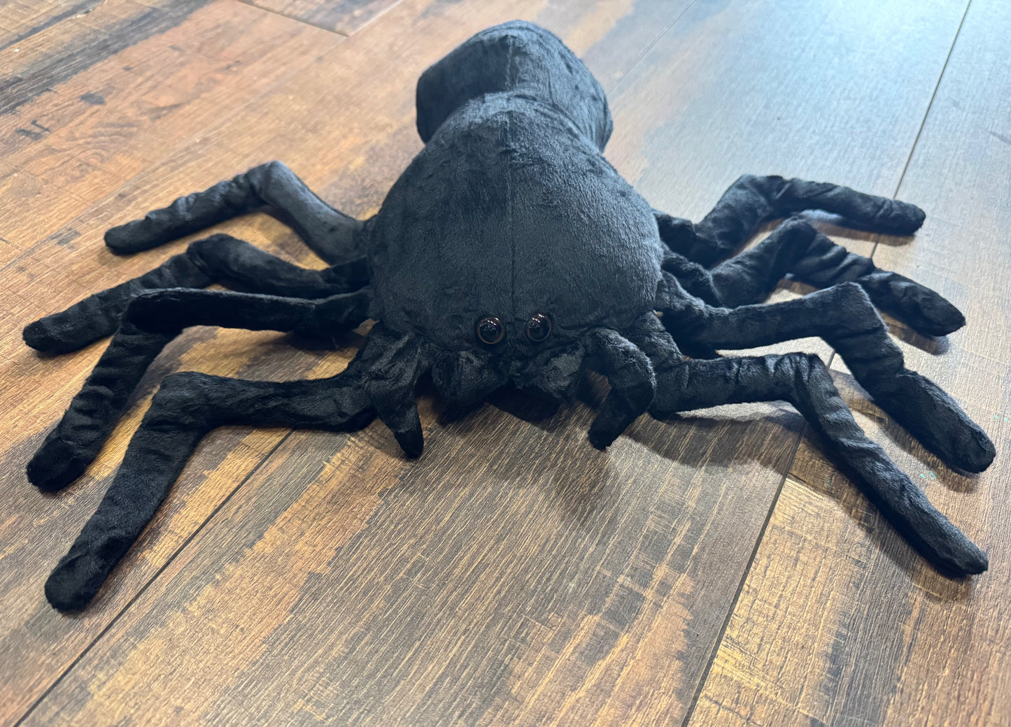 BIG Supersoft Black Spider Plush — 9.84 by 15.74 inches