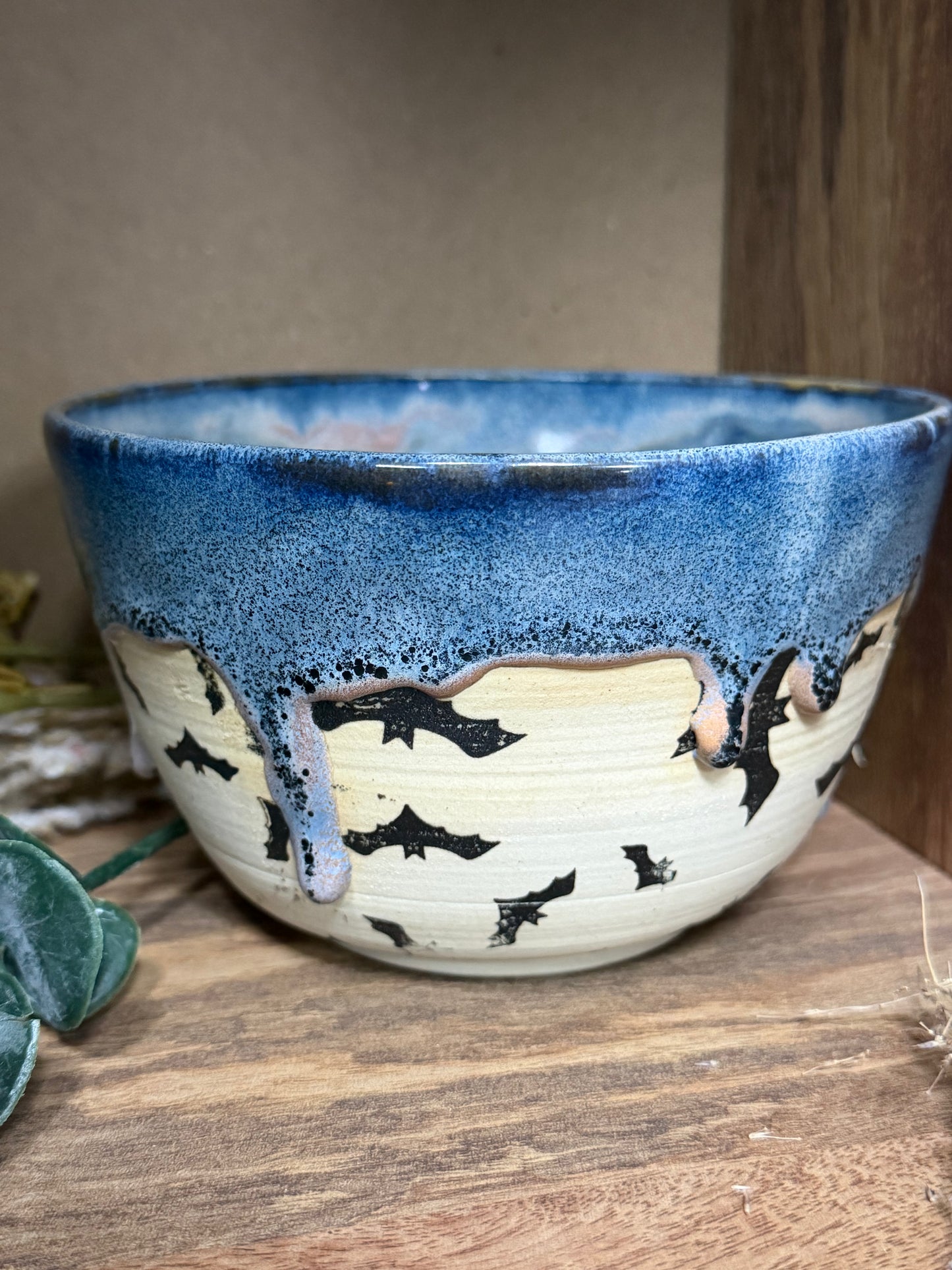 West Jensen - Blue Bats Bowl