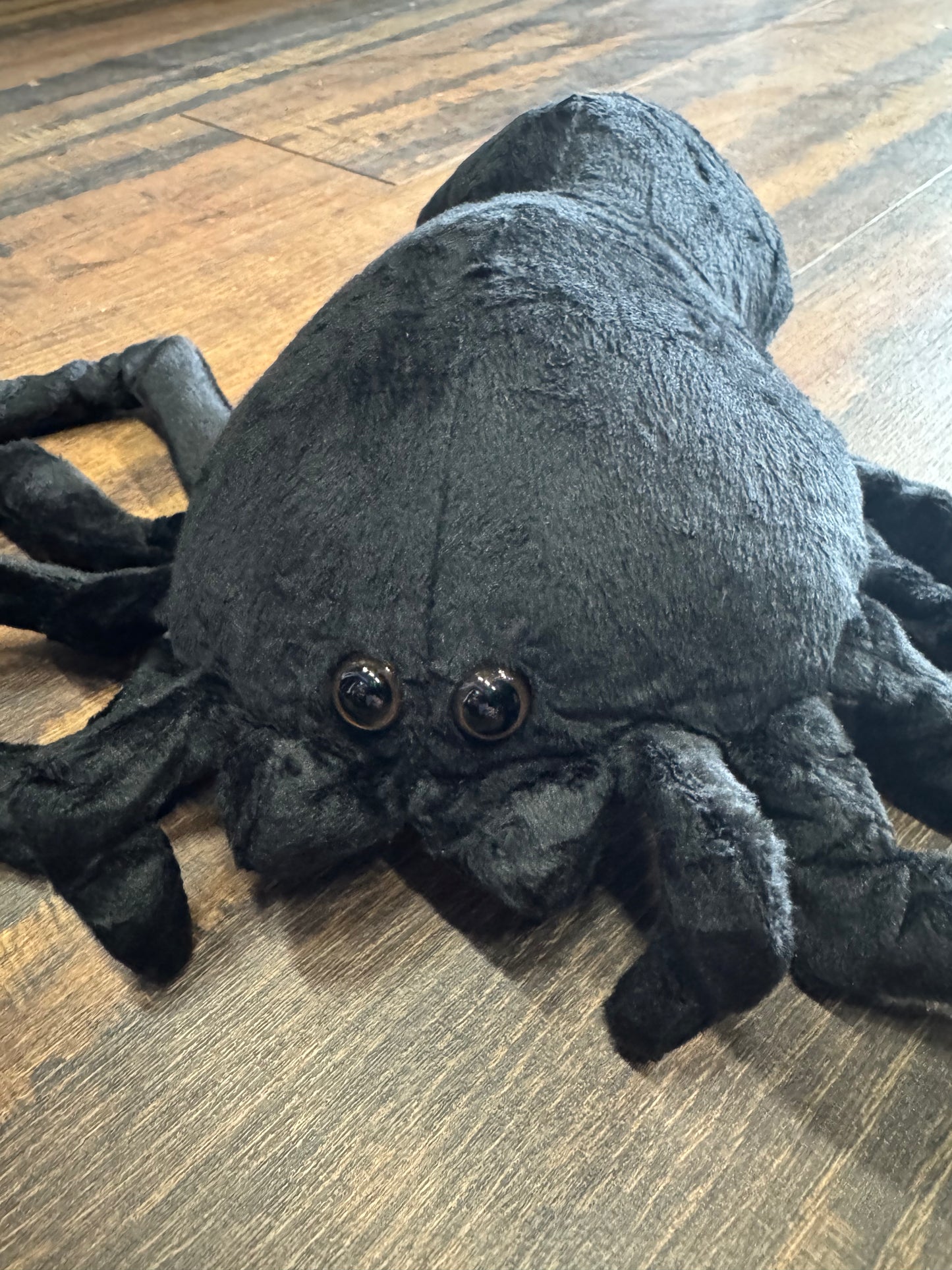 BIG Supersoft Black Spider Plush — 9.84 by 15.74 inches