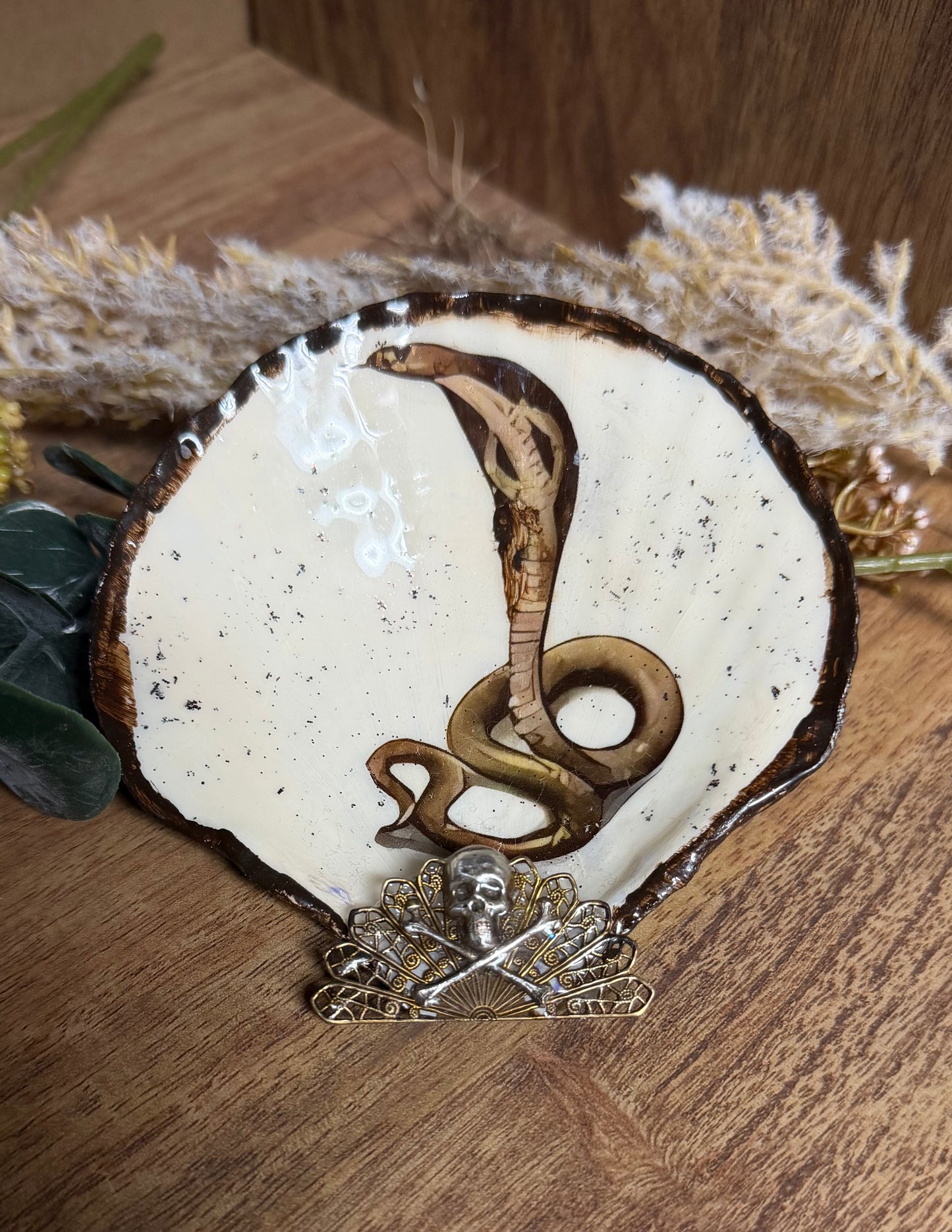 Handmade -Local Artist- Cobra Trinket Shell- Jakes Mom#20