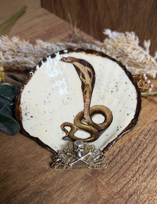 Handmade -Local Artist- Cobra Trinket Shell- Jakes Mom#20