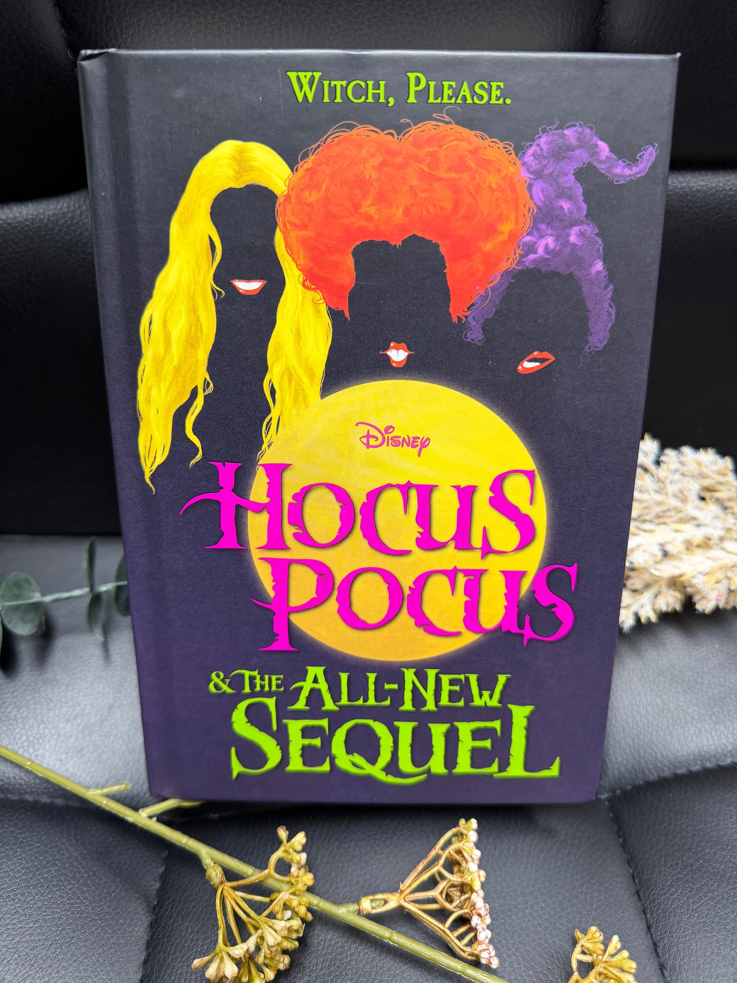Hocus Pocus & The All-New Sequel Book