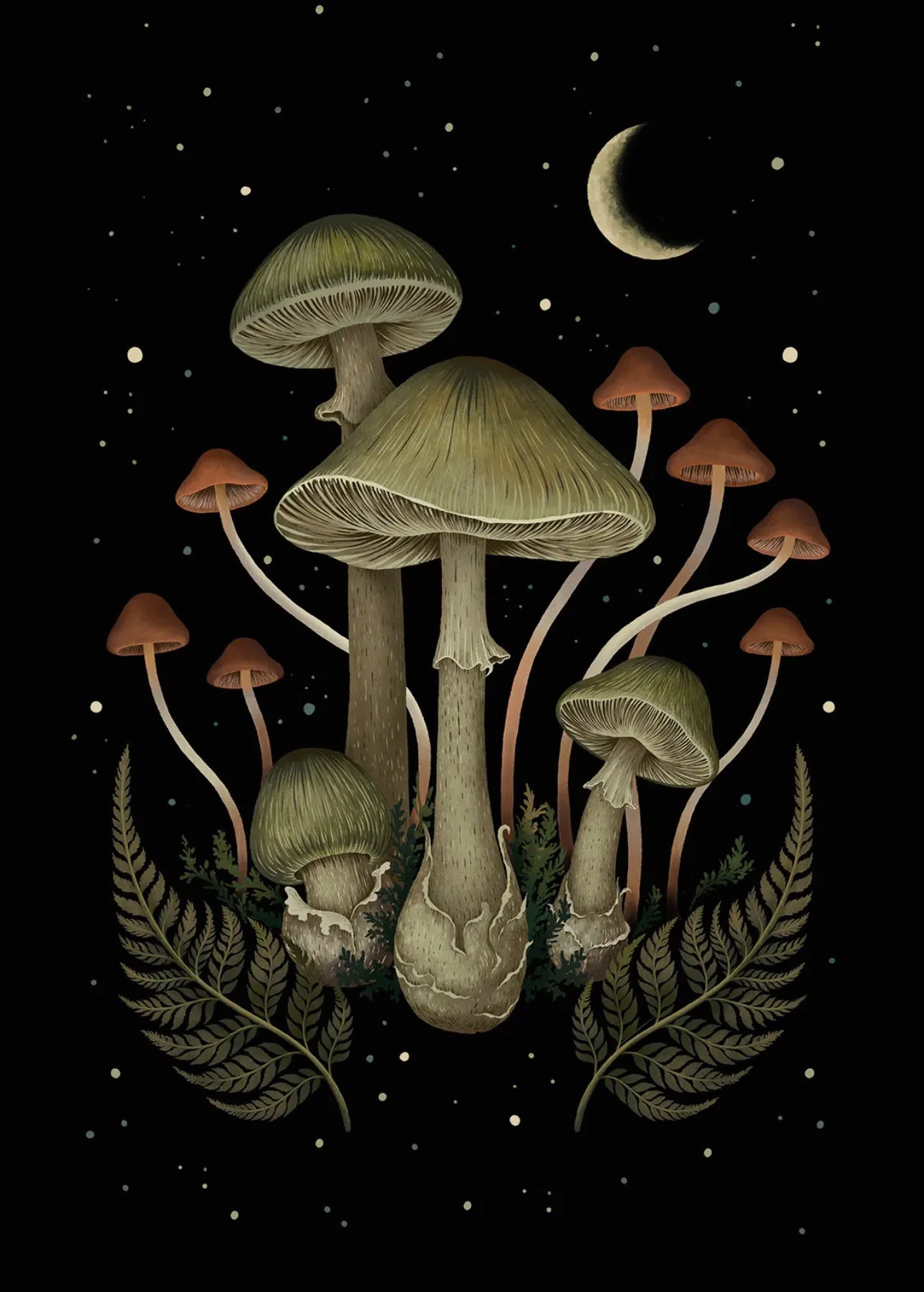 24" x 36" Death Cap Poster