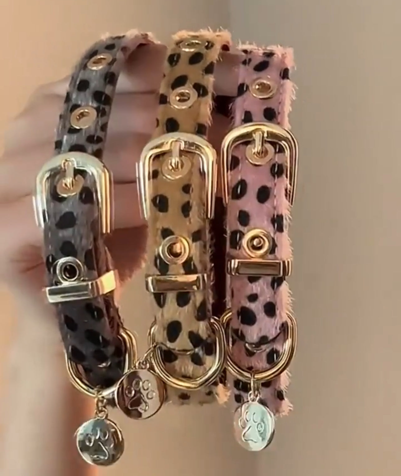 Cat Collar Leopard Chokers