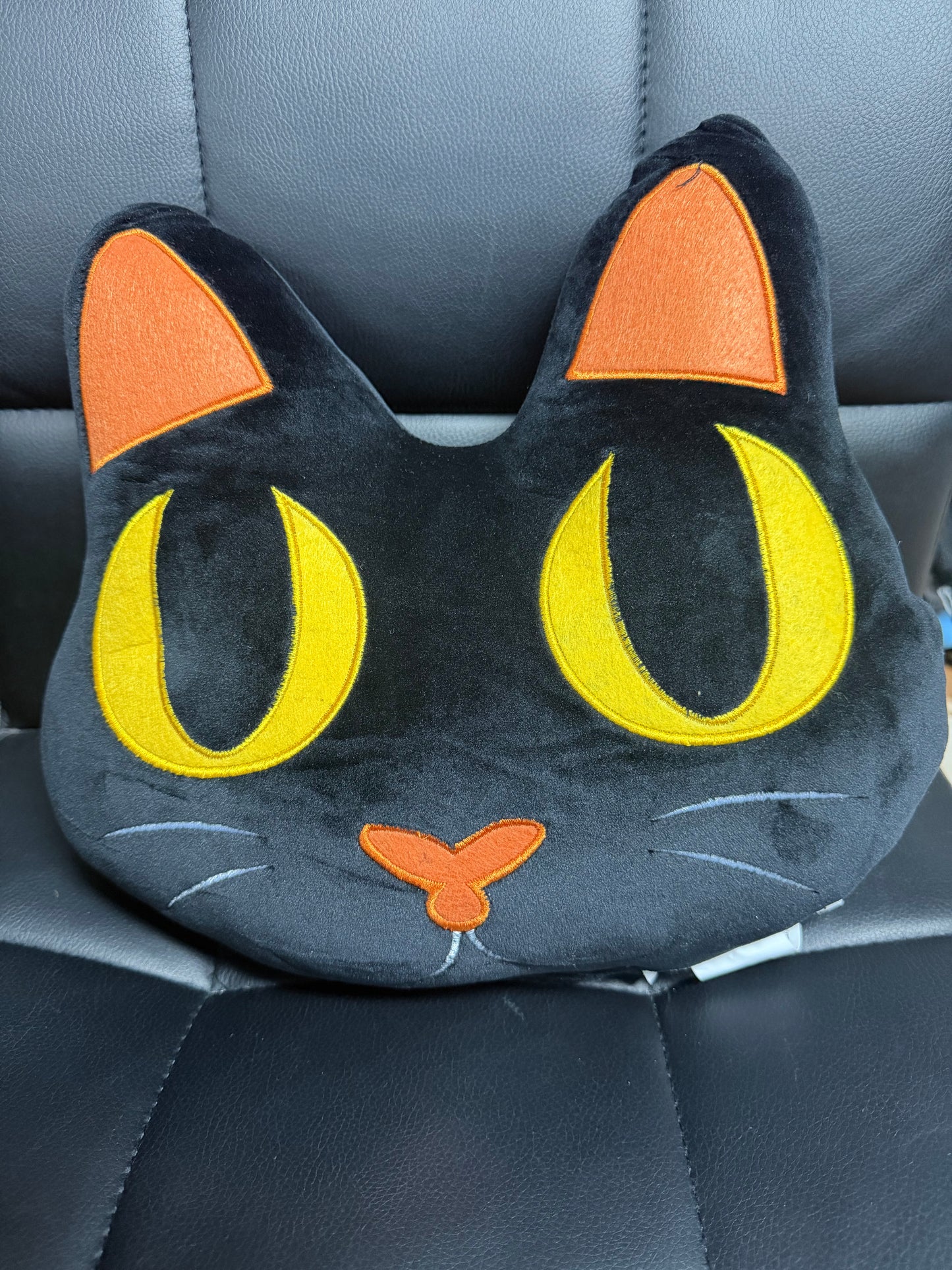 Spooky Halloween Cat Pillow- 12x14