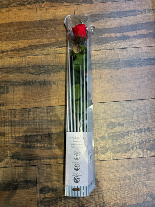 Preserved Red Rose