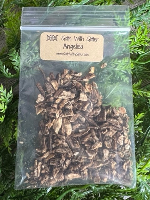 Dried Herb, Angelica — .30 ounces