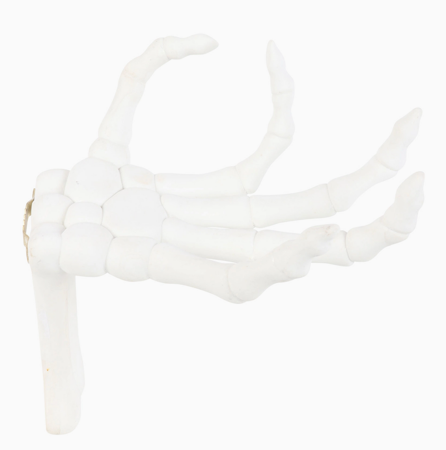 Gothic Halloween Skeleton Hand Wall Hook