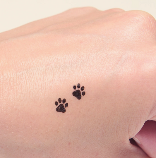 Makeup Mean Toe Beans Cat Paw Stamp & Eyeliner