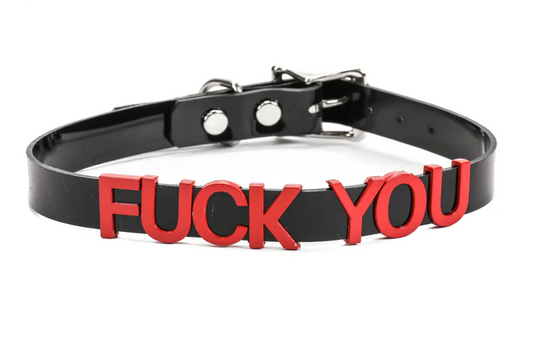 Genuine Leather Red / Black Stainless Steel Fetish Choker — Fuck You