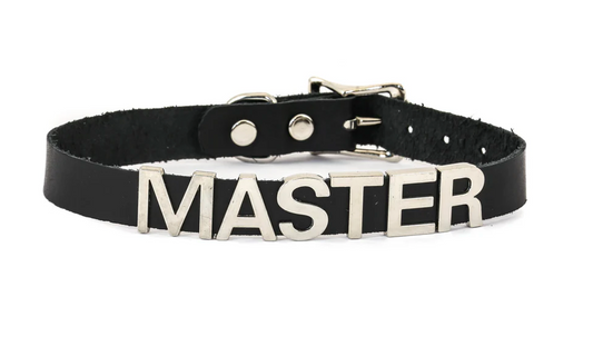 Genuine Leather Silver / Black Stainless Steel Fetish Choker — Master