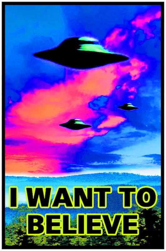 I Want To Believe Blacklight UFO Flocked Poster Size 23X35