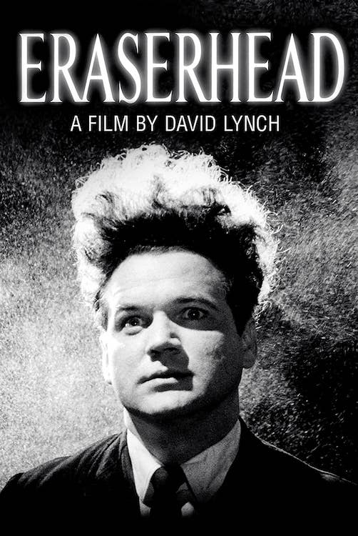 Eraserhead Film by David Lynch Poster Size 24X36