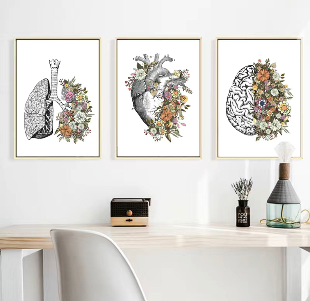 Set of 3 Anatomy Canvas Prints 16x12