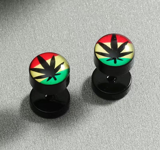 Stainless Steel 420 Earrings